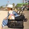 joovy Pootler 2-In-1 Pet Stroller And Carrier - 3 of 4