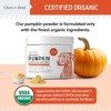 Chew + Heal Organic Pumpkin Digestive Defense Superfood Blend Powder Digestive Aid Supplement for Dogs, 16-oz jar - 3 of 4