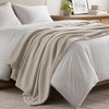 NicBex Twin Polyester Cooling Throw Blanket for Bed,Soft Cold Blanket for Bedroom - 2 of 4