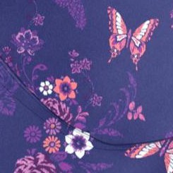 evening blue butterfly