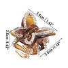 Unique Bargains Women's Grace Bow Rhinestones Hair Clips1.42"x1.18"x1.02" Brown 1 Pc - 4 of 4