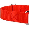 Country Brook Design Martingale Heavyduty Nylon Dog Collar and Double Handle Leash - 4 of 4