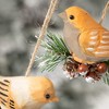 2.5"H and 2.75"H Sullivans Winter Bird Ornament - Set of 2  Multicolored Christmas Ornaments - 2 of 2