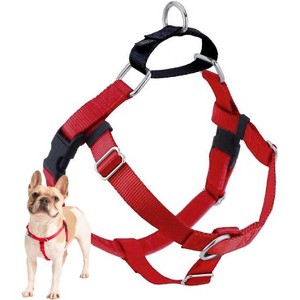 2 Hounds Design Freedom No Pull Dog Harness | Comfortable Control for Easy Walking | Adjustable Dog Harness | Small, Medium & Large Dogs | Made in USA - 1 of 4