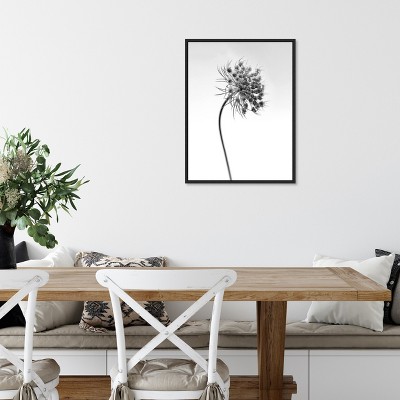 Black and White Botanical Lithograph Canvas Print with Black Frame