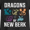 Girls' - How to Train Your Dragon - Dragons Of New Berk Fitted Short Sleeve Graphic T-Shirt - 2 of 4