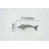 Collectible Wildlife Gifts | Dolphin, Porpoise, Marine Mammal, High Quality Rubber, Hand Painted, Realistic, Toy, Model, Gift,   2 1/2"  CH483 BB154 - 3 of 4