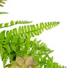 Northlight Succulents and Foliage Artificial Spring Twig Wreath, Green - 22-Inch - image 4 of 4