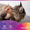 SmartyKat Leggy Llama Crinkly Catnip Toy for Indoor Cats & Kittens, Featuring Soft Faux Fleece & Crinkle Sounds, Encourages Exercise, 5-Pack - 4 of 4
