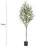 6FT Indoor Artificial Plants Large Olive Tree, Potted Olive Silk Tree with Natural Wood Trunk and Realistic Leave for Living Room Bedroom Office - 2 of 4