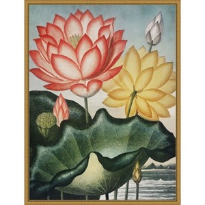 Amanti Art Temple of Flora V by Dr. robert j. Thornton Framed Canvas Wall Art - 1 of 4