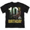Boys' Short Sleeve Jurassic World 10th Birthday Trex T-Shirt - 2 of 4