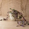Distressed Ribbed Planter Cream Terracotta by Foreside Home & Garden - 2 of 4
