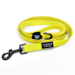 Joyride Harness Premium Matching Dog Leash - 1 of 4