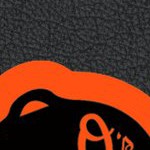 baltimore orioles