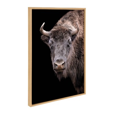 Natural Framed American Bison Canvas Wall Art, 23x33
