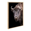 Kate & Laurel All Things Decor Sylvie Bison Canvas Art - 3 of 4