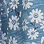 muted blue daisy floral