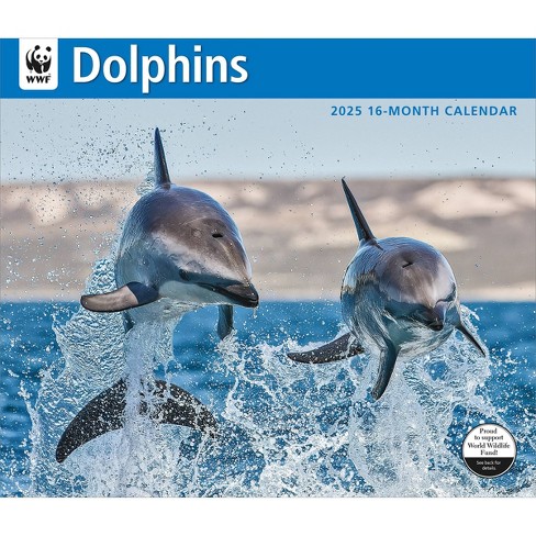 BrownTrout 2025 Wall Calendar 12"x14" Dolphins WWF - image 1 of 4