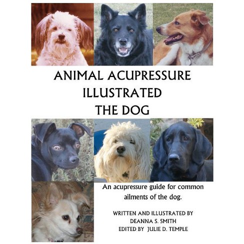 Animal Acupressure Illustrated The Dog - By Deanna S Smith (paperback) :  Target