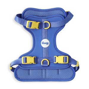 THE LICKER STORE Arlo Adjustable Soft Padded No Pull Pet Harness with 3 Buckles and 3 Leash Clips - 1 of 4