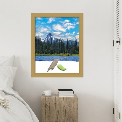 Grace Brushed Gold Polystyrene Wall Picture Frame 22x28