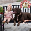 Country Brook Petz Deluxe Dog Collar - Made in The U.S.A. - Tasty Collection - 3 of 4