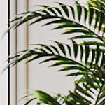 gold-arch shape-aluminum frame-double frosted belt-us regulations