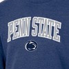 NCAA Penn State Nittany Lions Men's Heathered Crew Neck Fleece Sweatshirt - 3 of 3