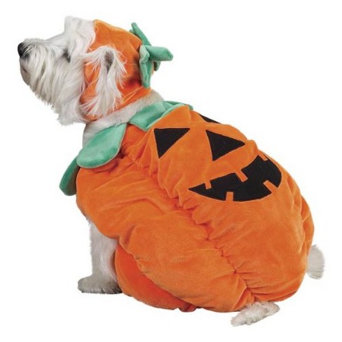 Zack Zoey Pumpkin Pooch Costume Medium Target