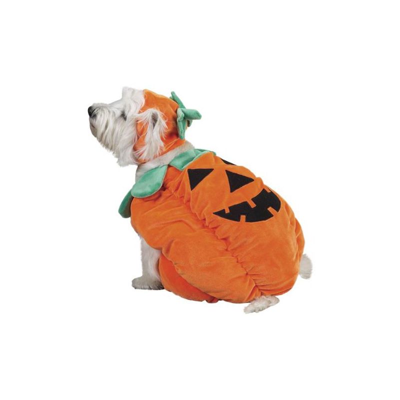 Zack & Zoey Pumpkin Pooch Dog Costume, 1 of 9