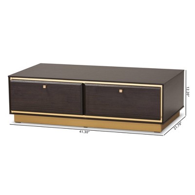 Modern Glamour Dark Brown Wood and Gold Metal Storage Coffee Table
