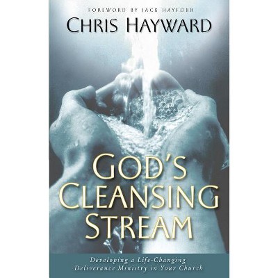 God's Cleansing Stream - (Paperback)