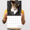 TF Publishing 13.5"x14.5" 2026 Cat Dreams Wall Calendar - 4 of 4
