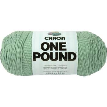 2 Pack Caron One Pound Yarn-Succulent 294010-10655 - GettyCrafts