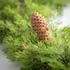 Sullivans Artificial 6 ft. Cedar & Hemlock Garland, Green - 2 of 3