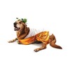 Midlee Toga Dog Costume - image 3 of 4