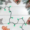 Northlight 50 Count Green LED G12 Berry Mini Christmas Lights - 15 ft Green Wire - 2 of 3