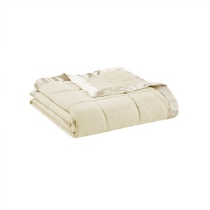 NicBex Lightweight Down Alternative Blanket with Satin Trim,Fuzzy Cozy Luxury Blanket Microfiber for Bed Chair Couch - 1 of 4