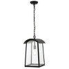 Adalai 10" Outdoor Pendant - PLT4028 - Black - Safavieh - 2 of 4