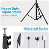 ZACHVO Photo Studio Backdrop Stand Kit, 200cm x 200cm Adjustable Support with Crossbar, Clamps & Carry Bag - 4 of 4