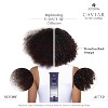 Alterna Caviar Anti-Aging Replenishing Moisture Leave-in Smoothing Gelee | Hair Gel Lightweight Styling For Dry Hair | Sulfate Free - (3.4 Oz) - 4 of 4