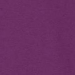 plum purple