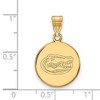 Black Bow Jewelry 14k Yellow Gold Florida Gators NCAA Medium Pendant - 2 of 3