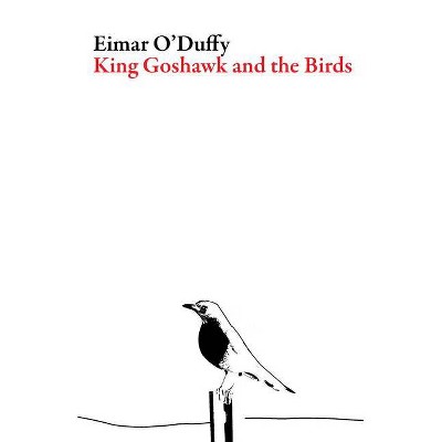 King Goshawk and the Birds - (Irish Literature) by  Eimar O'Duffy (Paperback)