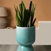 ChicFurnit Decorative Vases Elegant Flower Vase Jarron Florero Tabletop Vase Modern Vase for Living Room Decor, Blue, 12.75"*12.75"*17" - 2 of 4