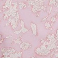pink and white flowers