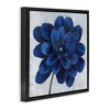 Stupell Industries Modern Deep Blue Floral Carnation, 18" x 18" - 3 of 4