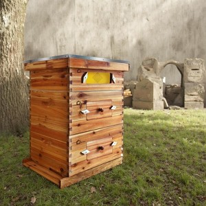 10-Frame Complete Beehive Kit, Wax Coated Bee Hives for Beginner, Includes 2 Deep Box and 1 Medium Bee Box, Beehives Frames and Wax Foundations - 1 of 4