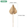 Unique Bargains Dried Natural Boho Palm Leaf Bulk - 3 of 4